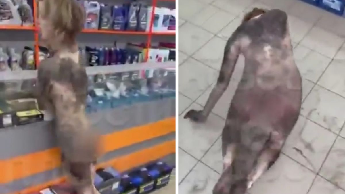 Przerażający incydent w Rosji