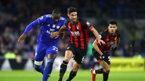 Premier League: AFC Bournemouth - Tottenham Hotspur na żywo w TV i online, livescore. Gdzie oglądać transmisję?
