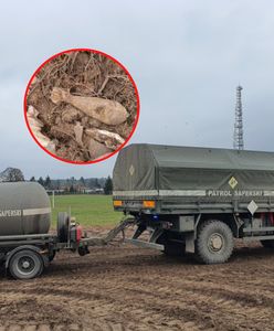 Alarm w Ostrołęce. Wielka ewakuacja mieszkańców