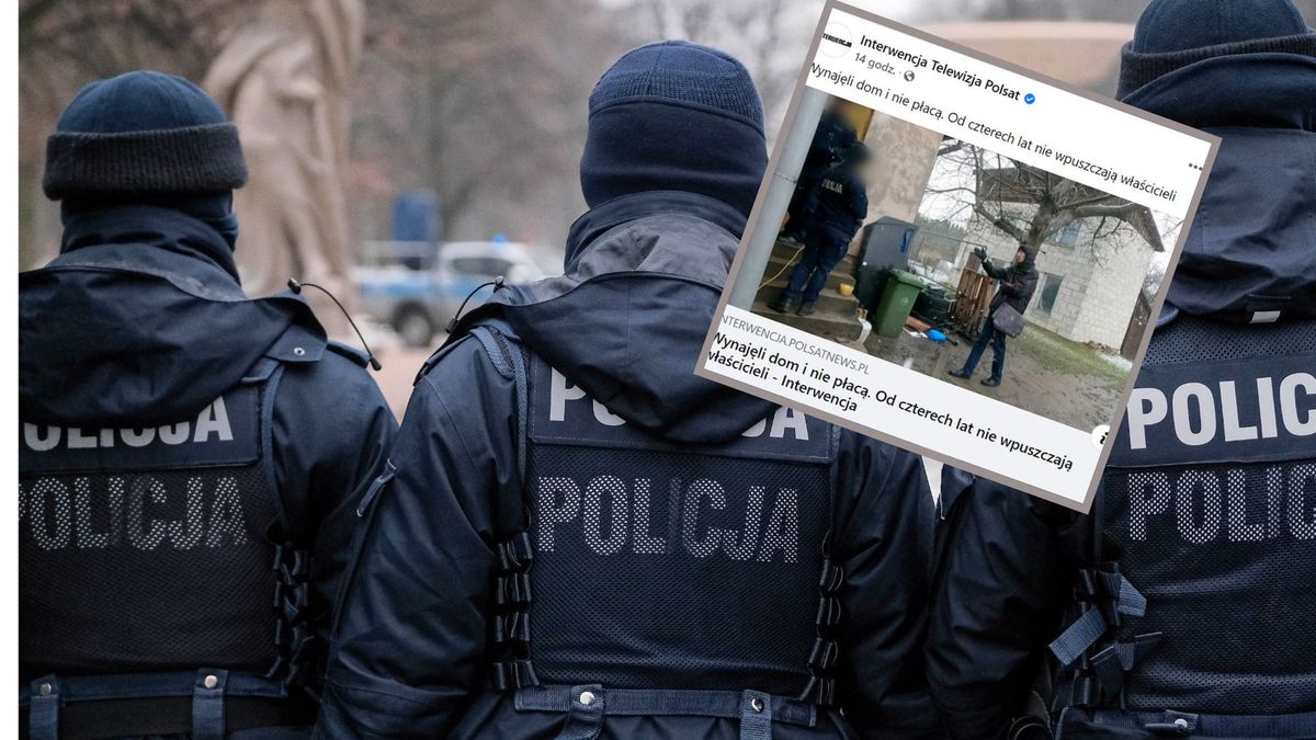 Krasnystaw. Policja nie może usunąć dzikiej lokatorki z domu/ zdjęcie ilustracyjne