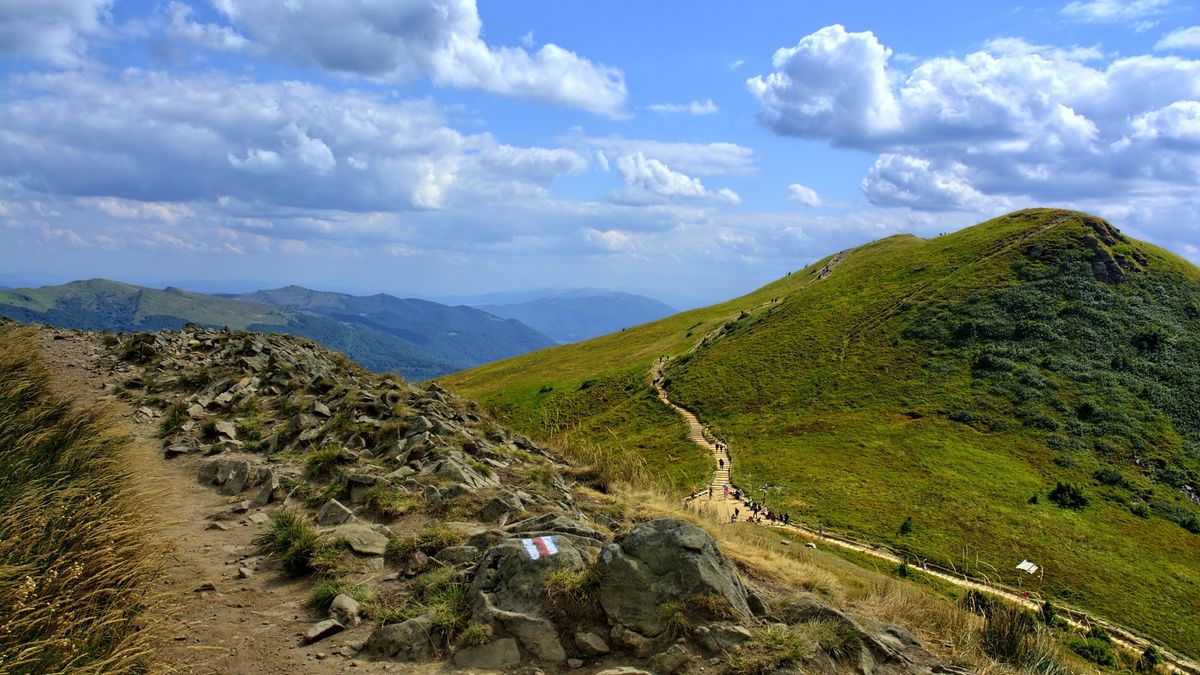 Zdjęcie ilustracyjne.