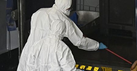 Groźna choroba rozprzestrzenia się po Polsce. Sytuacja jest coraz gorsza