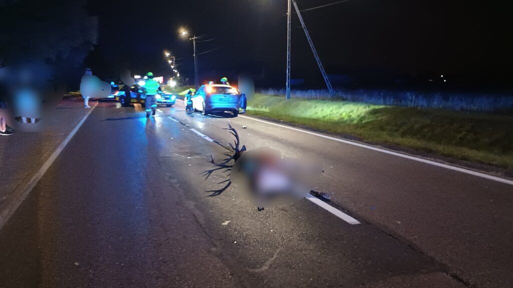 Na drodze nocą leży martwe zwierzę, a w tle widać pojazdy policyjne oraz ratowników.
