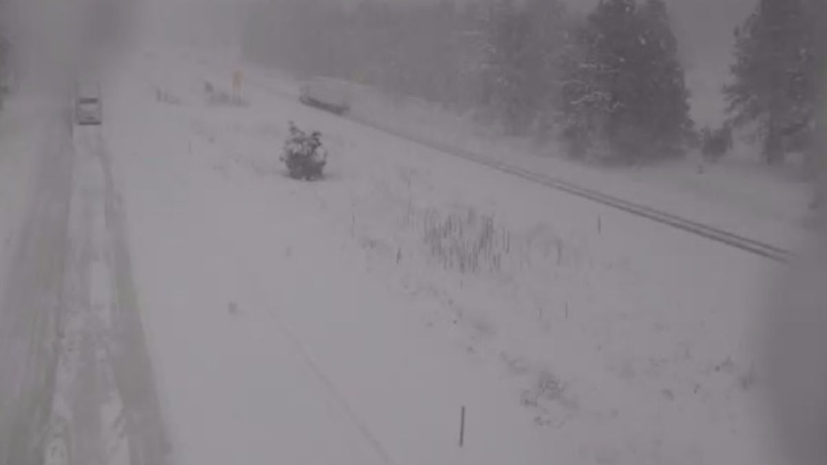 Śnieżyce paraliżują Arizonę