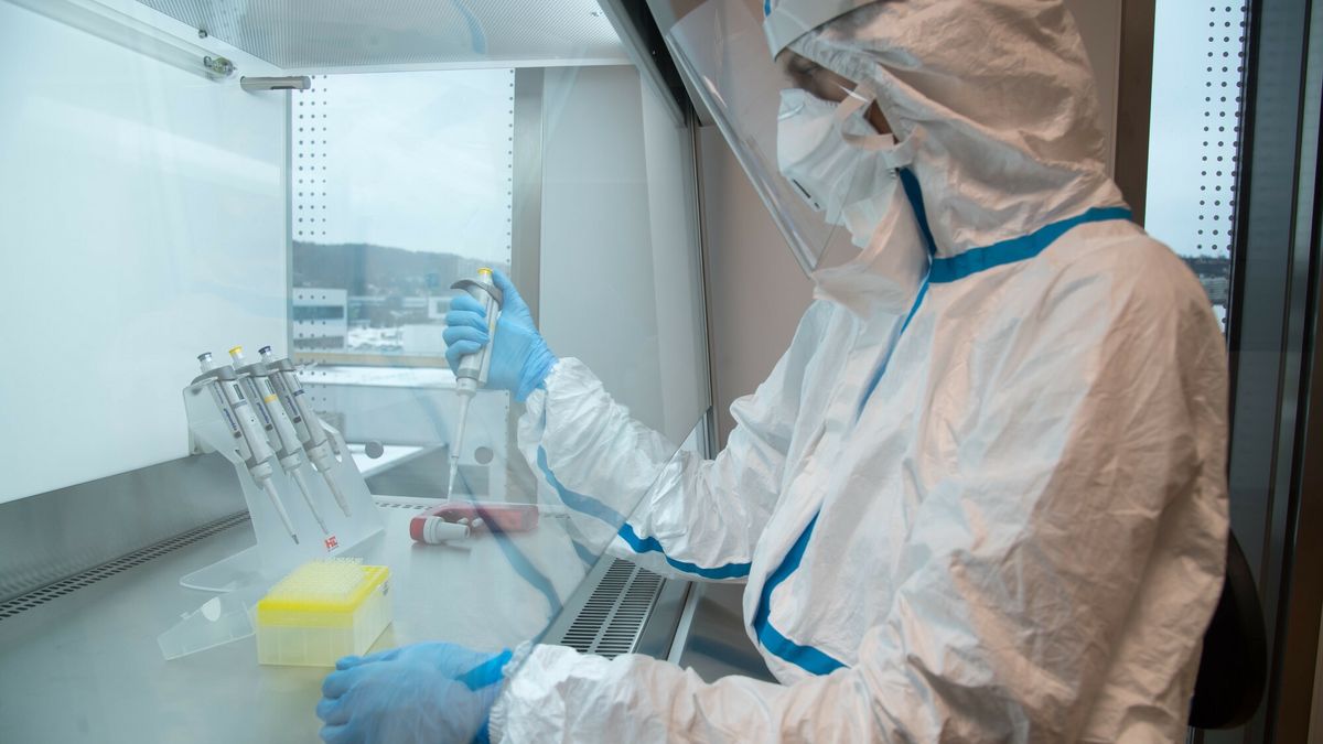 Otwarcie laboratorium wirusologicznego klasy BSL3+ w Gda?sku
22.01.2024 Gdansk Miedzyuczelniany Wydzial Biotechnologii Uniwersytet Gdanski Gdanski Uniwersytet Medyczny Otwarcie laboratorium wirusologicznego klasy bezpieczenstwa biotechnologicznego BSL3+ najnowoczesniejszego w Polsce do badan nad patogenami wirusowymi w celu tworzenia szczepionek i lekow przeciwwirusowych
Fot. Wojciech Strozyk/REPORTER
Wojciech Strozyk/REPORTER