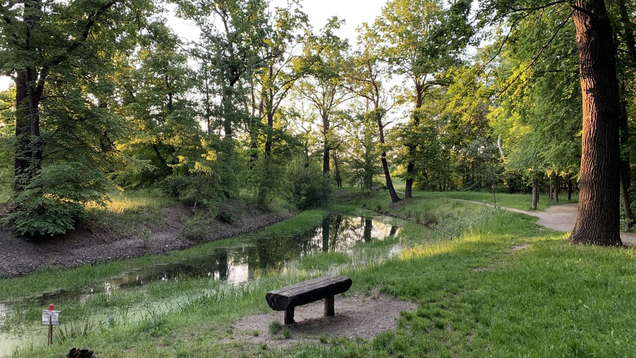 Wrocław. Pogoda. 7 lipca - ochłodzenie na horyzoncie. Nie będzie nawet 20 st. C