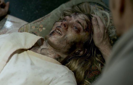 „Gardeners’ World 8” w Domo+