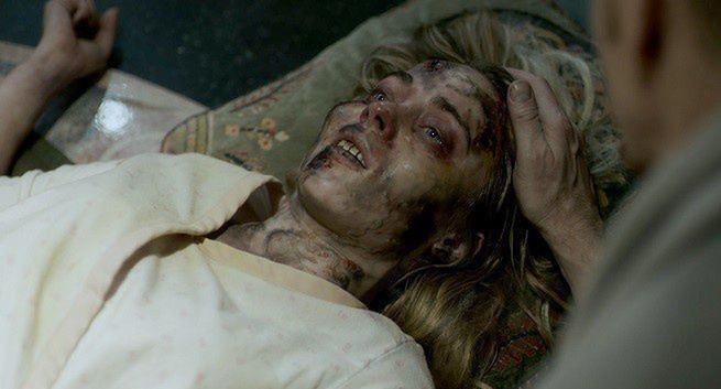 „Gardeners’ World 8” w Domo+