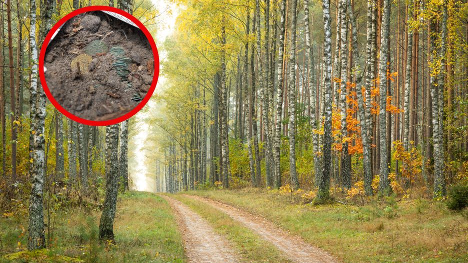 Złoty dukat niderlandzki oraz 68 srebrnych monet - skarb XVII w.