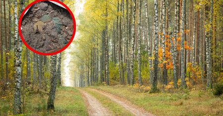 Niezwykłe odkrycie archeologiczne w Puszczy Knyszyńskiej. Znalezisko pochodzi z XVII wieku