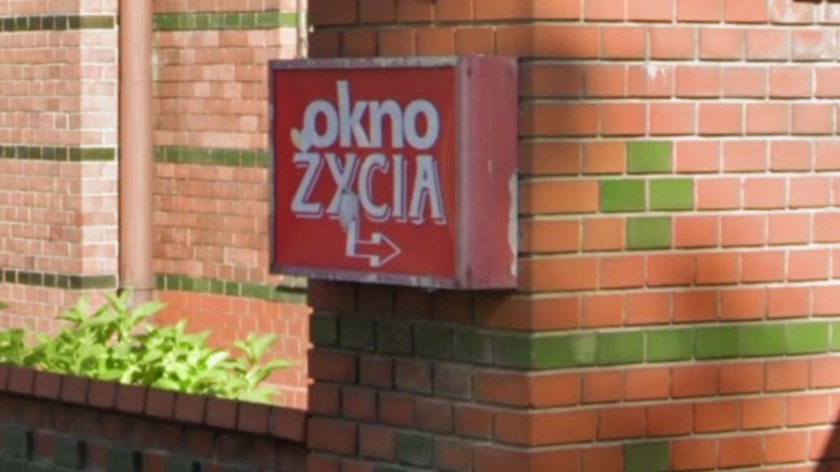 Katowice: Dwulatek w oknie życia
