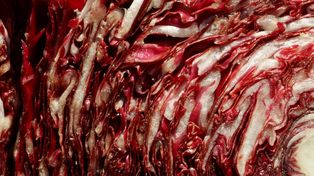 Już starożytni Rzymianie ją cenili. Łagodzi dolegliwości żołądkowe i wzmacnia serce