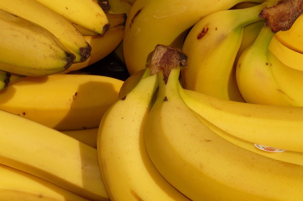 Zwróć na to uwagę, kupując banany