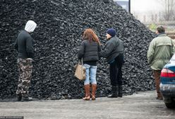 Kolejki po węgiel. Rząd odradza kupowanie. PGG: możemy obsłużyć więcej klientów