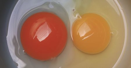 Wielu nie ma pojęcia, o czym świadczy kolor żółtka i rozmiar jajka. Wyjaśnijmy raz na zawsze