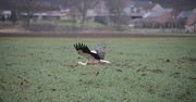 Łódź: Ostrzeżenie meteo. Prognoza pogody na sobotę 21.03.2026