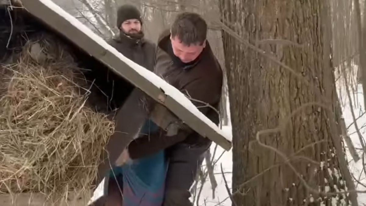 Myśliwi dokarmiają zwierzęta