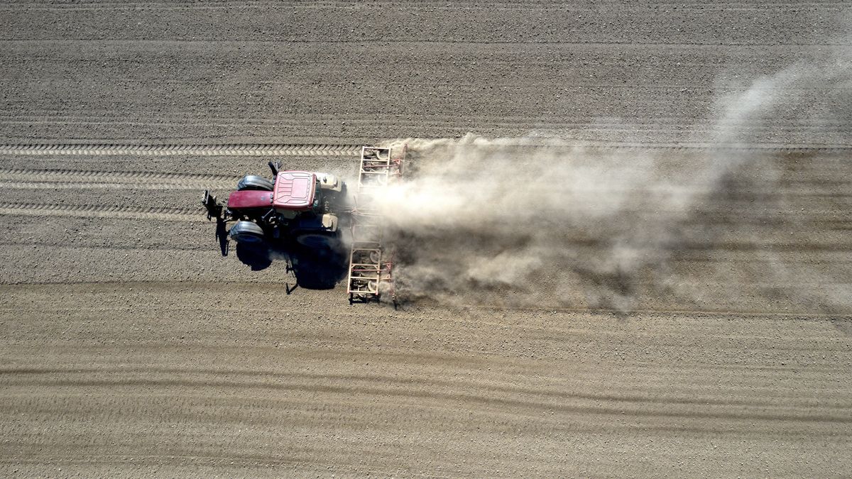 Bachórz, 18.04.2020. Tumany kurzu podczas bronowania pola w Bachórzu, 18 bm. Z powodu niemal bezśnieżnej zimy i braku opadów deszczu panuje susza, która może przyczynić się do niskich plonów. (dd/amb) PAP/Darek Delmanowicz
