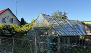 Zmiany w prawie. Od nowego roku zakazy dotyczące ogrodzeń i bram