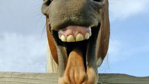 Śmieszne telefoniczne rozmowy konsultantów TOP 10 (audio) 1