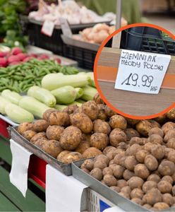 Młode ziemniaki z Polski już w sprzedaży. Ceny powalają