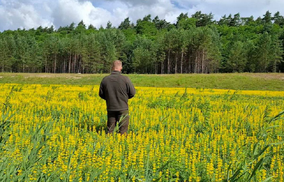 Zazielenią piaskownię. "Dla leśników nie ma rzeczy niemożliwych"