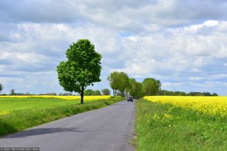 Kontrowersyjne prawo uchwalone. Minęło 20 lat? Przejmą drogę