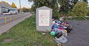 Podwyżki za śmieci. W niektórych miastach rachunki rosną o 1/3