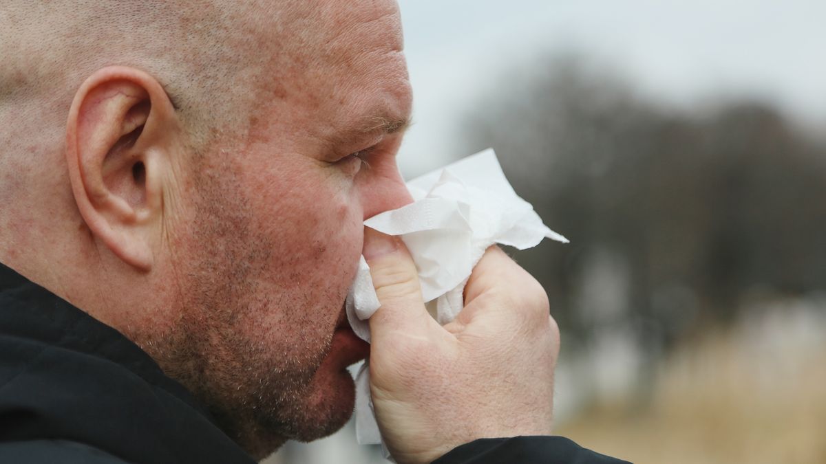 Szef GIS: mróz nie zabija wirusów