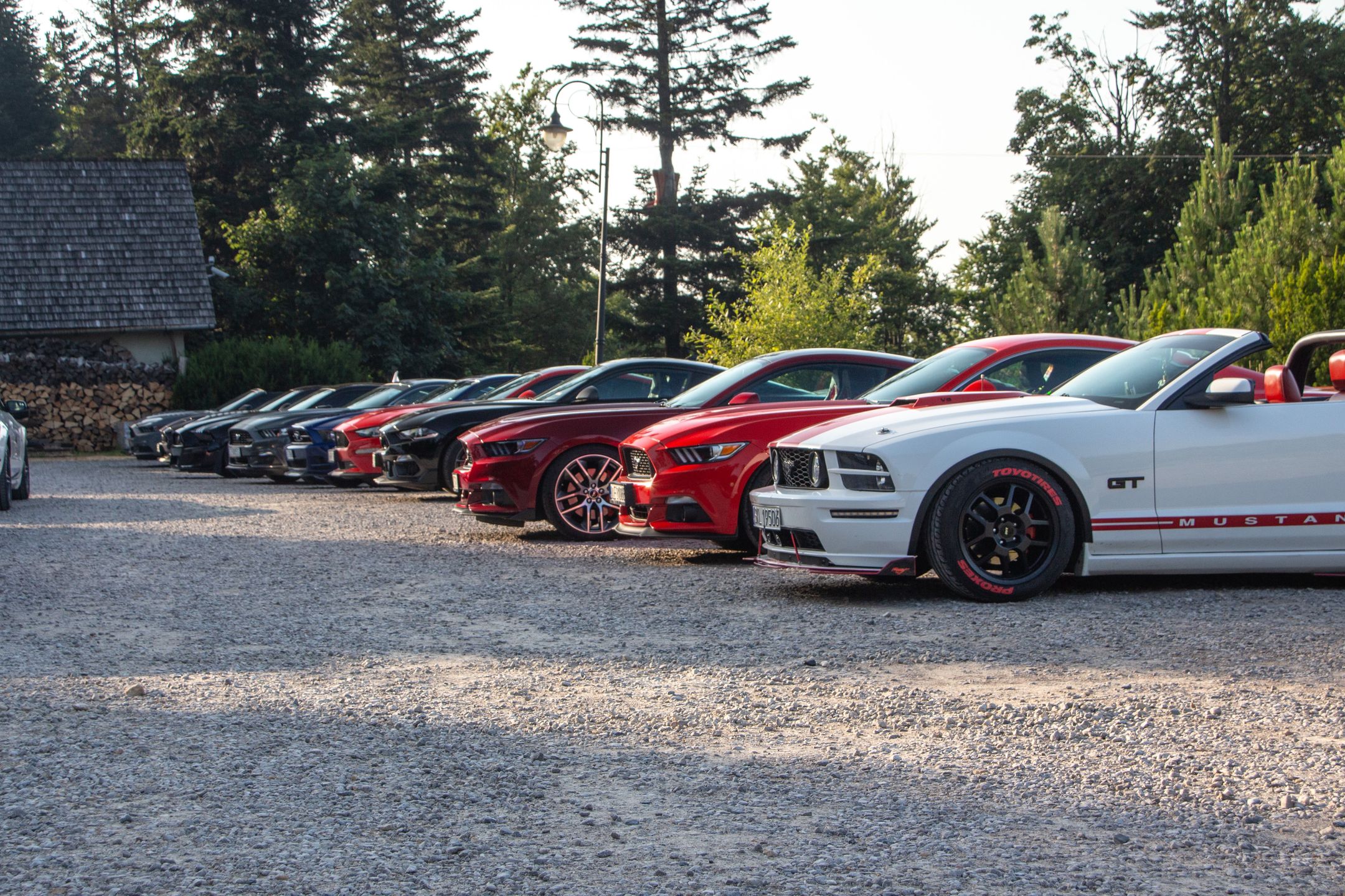 Małopolski & Śląski Zlot Mustangów 2024