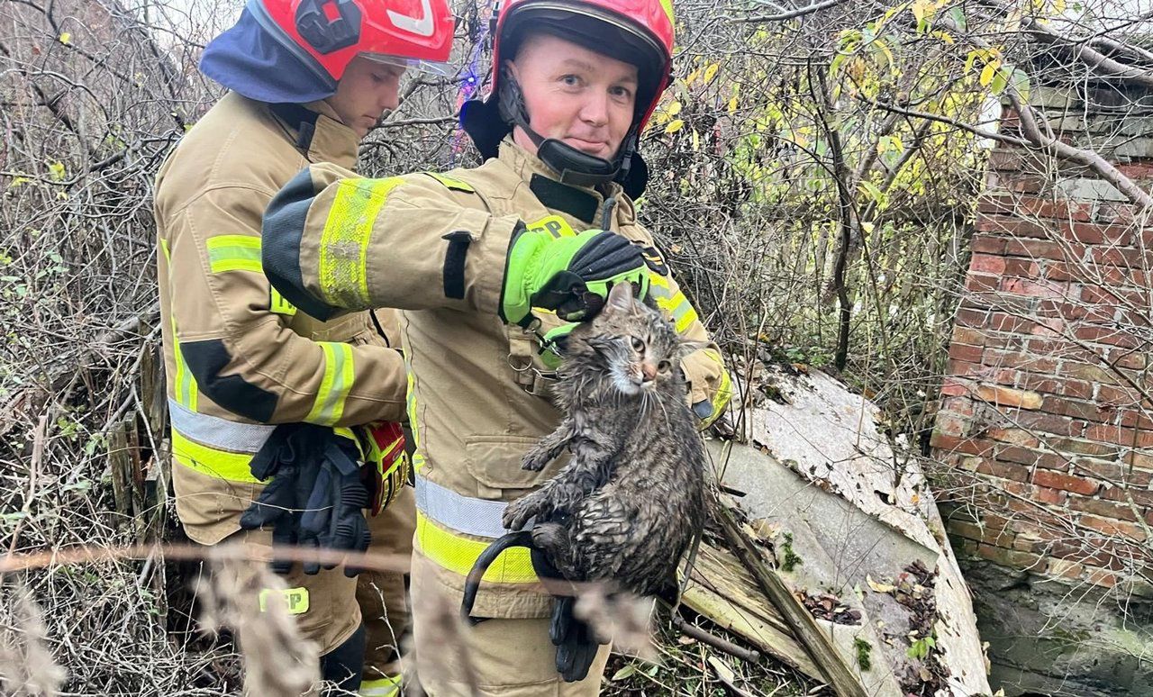 Staszów: Strażacy wyciągali kota z 15-metrowej studni