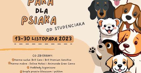 Zbiórka darów dla psiaków. Studenci Politechniki zachęcają do udziału w akcji  „Paka dla psiaka”