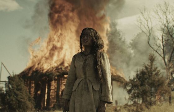 Pierwszy polski film w kinach IMAX. Kiedy premiera "Dzikiego"?