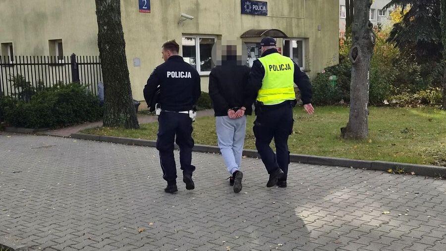 policja