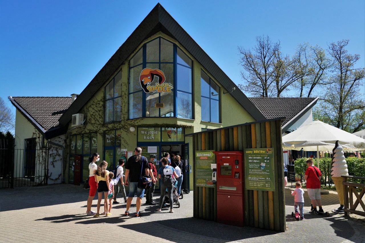 Tłumy w ogrodach zoologicznych. W weekend przeżywały oblężenie