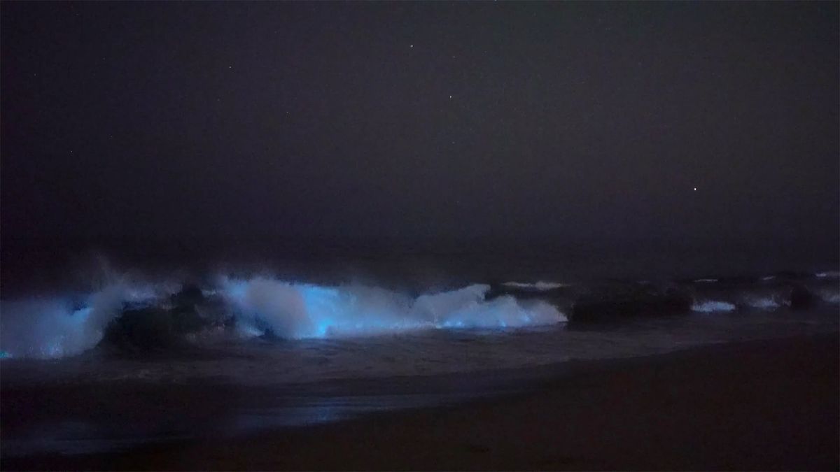 Fotograf ujął piękne zjawisko ”świecących fal”. Skąd się to wzięło? 1