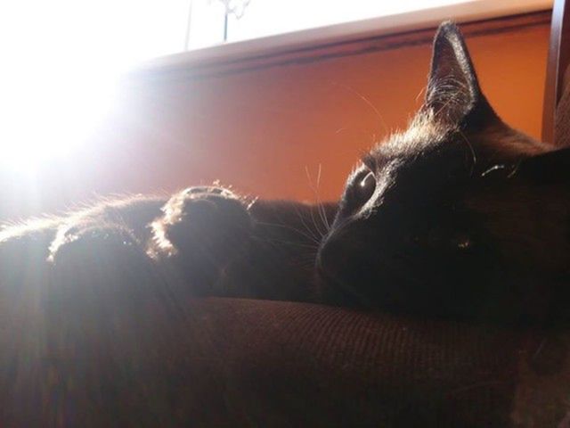 Zobaczcie jakie zdjęcia można zrobić smartfonem. Galeria nagrodzonych prac 4