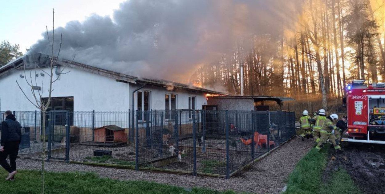 Obłęże: Wielki pożar schroniska dla zwierząt Bubinkowo