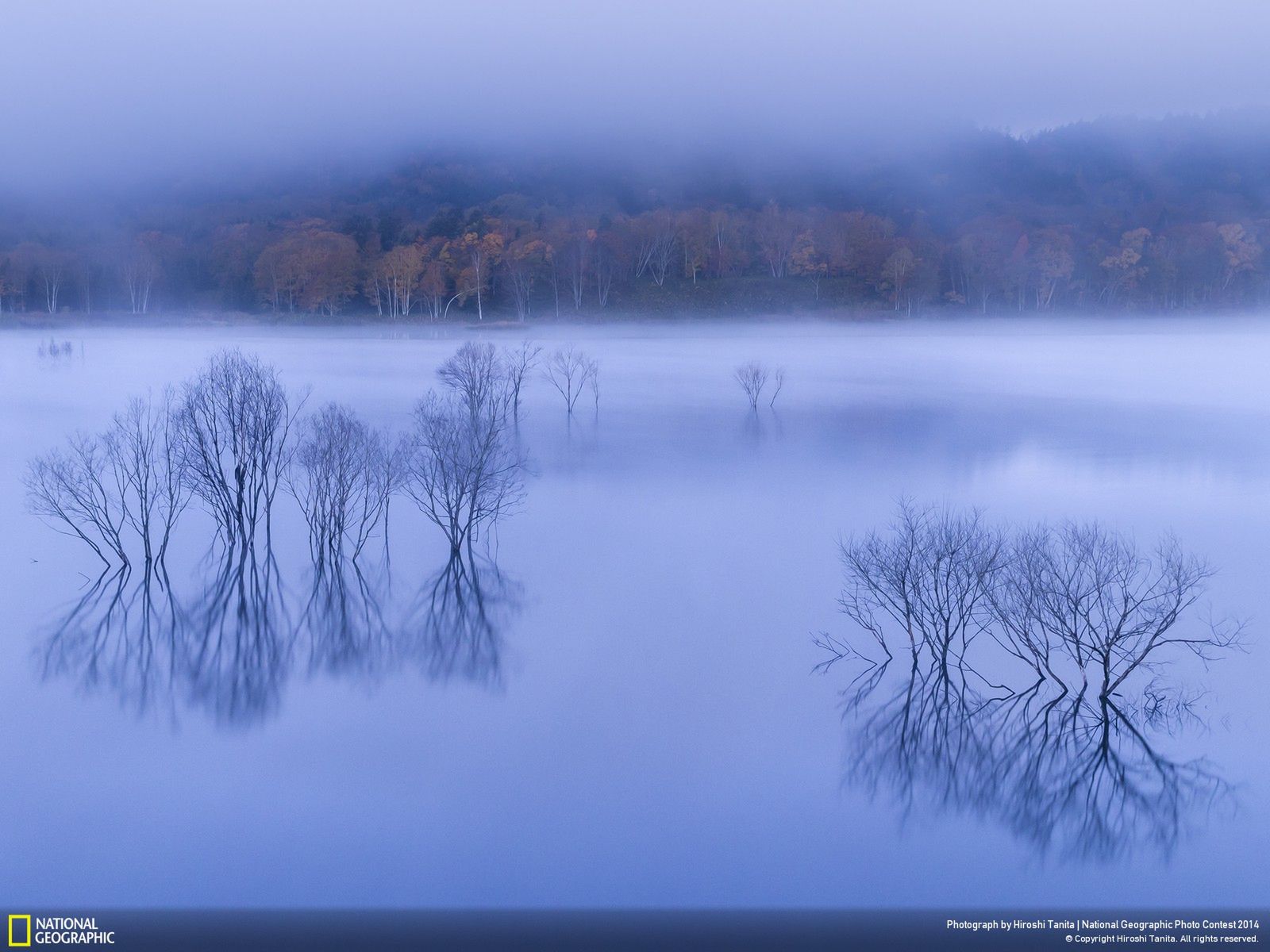Najlepsze zgłoszenia z National Geographic Photo Contest 2014 15