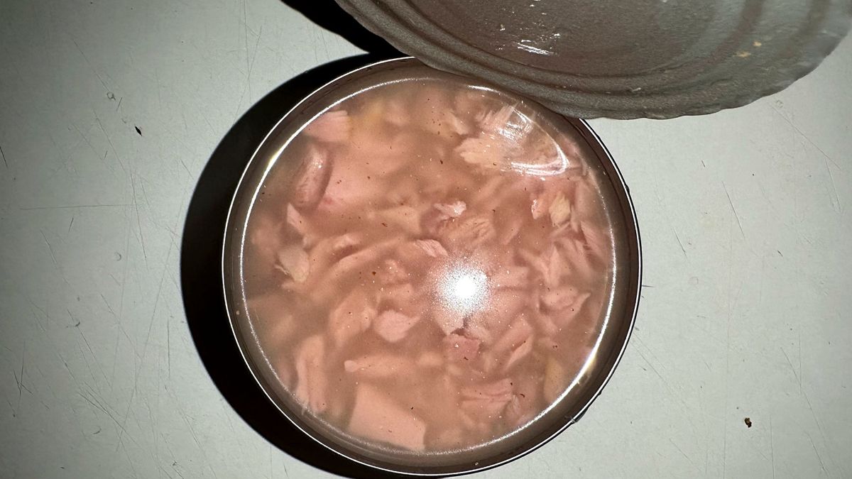 Tuńczyk z puszki – zdrowa opcja czy ukryte zagrożenie?