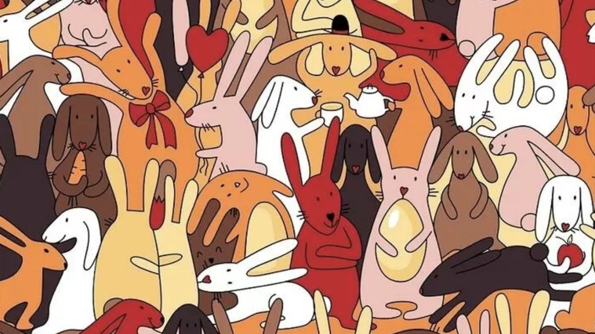 Znajdź 9 ukrytych na obrazku elementów. Udaje się tylko najlepszym