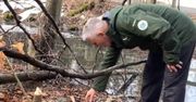 Tajemnicze ślady w Zakopanem. "To się musiało tak skończyć"