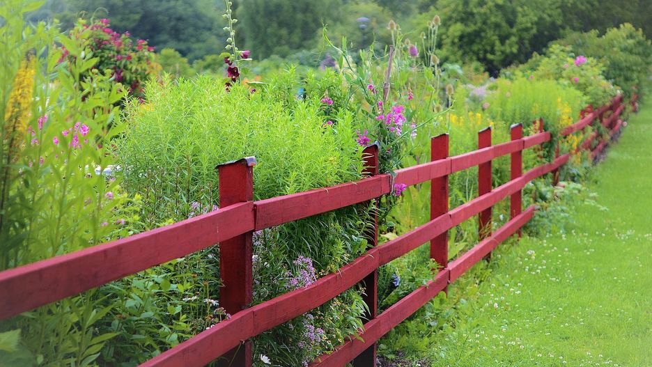 „Zielona terapia” we własnym ogrodzie
