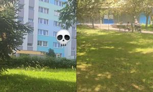 "Uważajcie, rodzice z małymi dziećmi". Nagranie z osiedla w Poznaniu