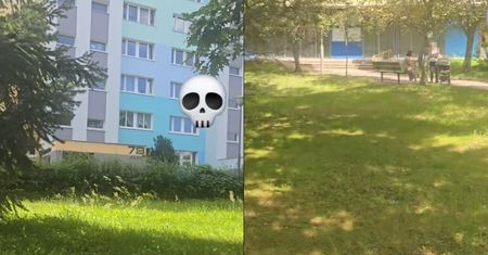 "Uważajcie, rodzice z małymi dziećmi". Nagranie z osiedla w Poznaniu