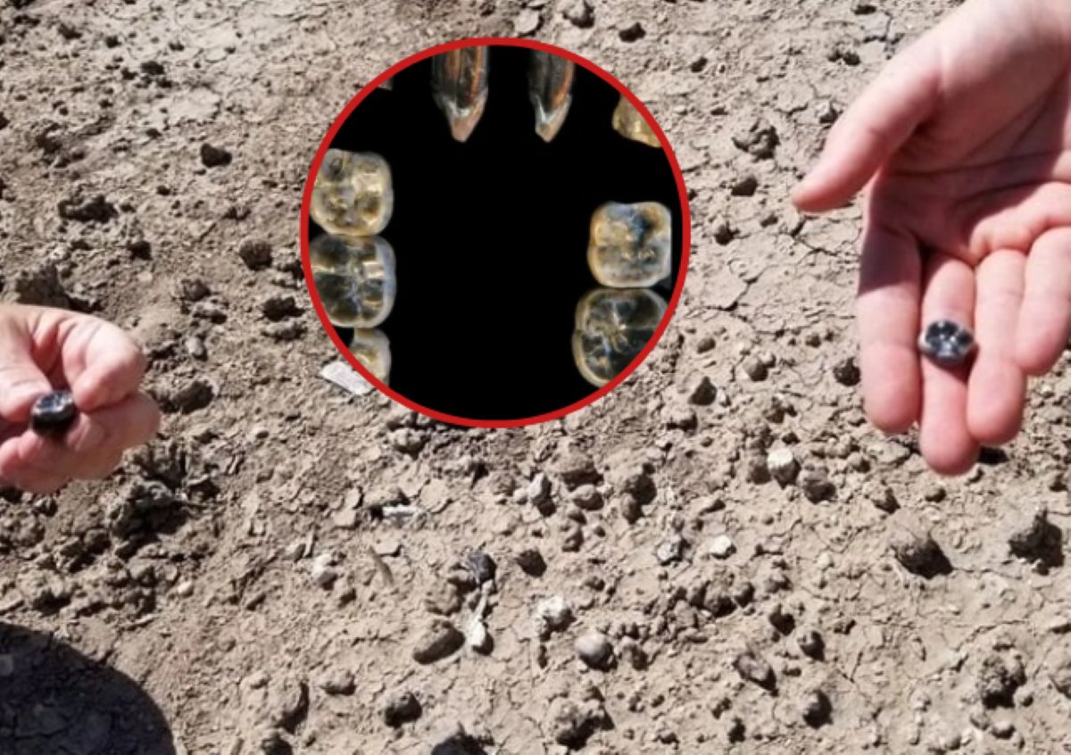 Tajemniczy przodek człowieka z Etiopii. Odkrycie liczy 2,65 mln lat