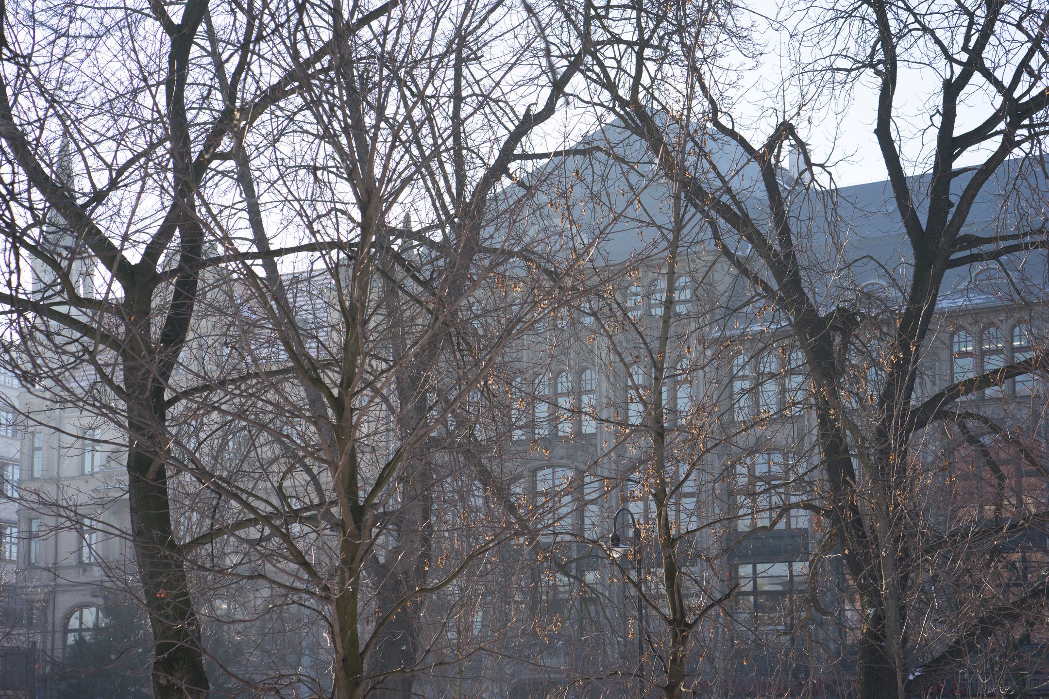 Zeiss Batis 85 mm f/1.8 - test portretówki do Sony A7 93