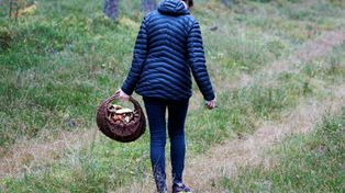 Zalas: Kurpiowskie Grzybobranie, gm. Łyse. Piąta edycja wydarzenia odbyła się 27.09.2025
