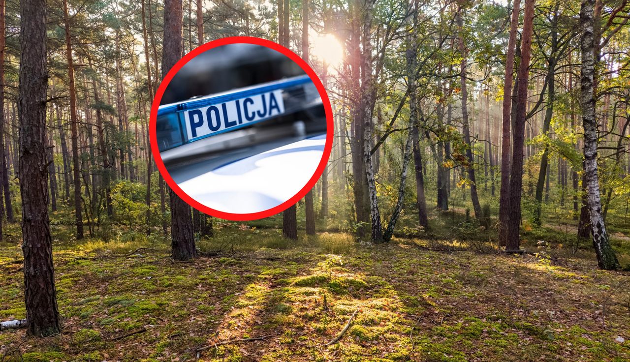 Rodzina poszła do lasu. Tragiczny finał. Służby znalazły ciało