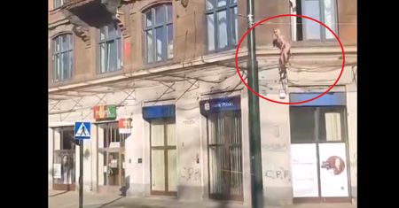 "Typowy widok gołębia" w Krakowie, czyli nago po gzymsie w samym centrum